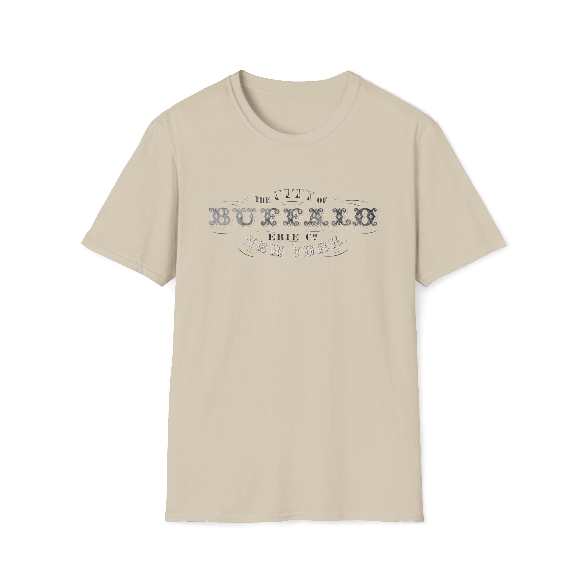 The City of Buffalo Erie Co New York 1872 Faded Logo Print