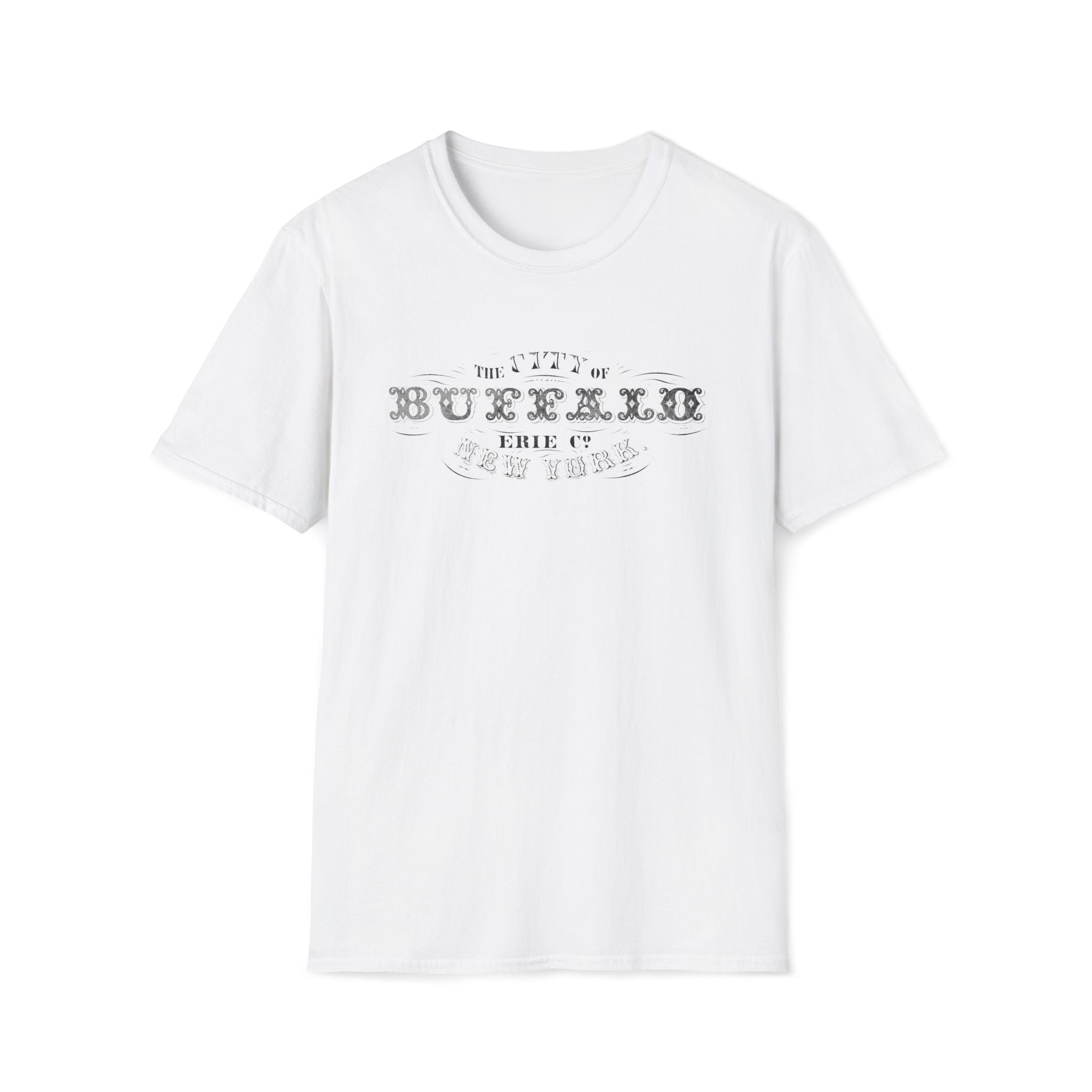 The City of Buffalo Erie Co New York 1872 Faded Logo Print